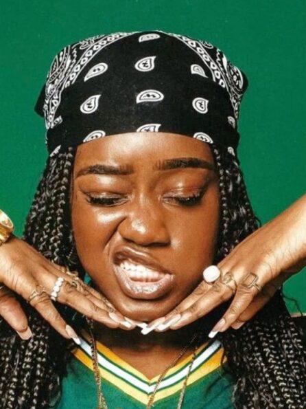 História da bandana